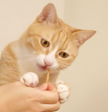 Petio - Brushing Dental Chicken Strips – Chicken Flavor 20g, for cats.