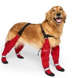 CANADA POOCH Long Suspender Boots, 15% OFF!