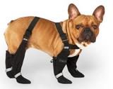CANADA POOCH Short Suspender Boots, 15% OFF!