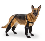CANADA POOCH Long Suspender Boots, 15% OFF!