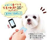Petio Lactobacillus Yogurt Puree for dogs. Adorably Lickable!