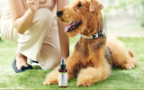 A.P.D.C. Neem & Citronella Spray 125ml – Natural Insect Repellent & Skin Protection for Dogs.