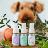 Made of Organics - Dog Toothpaste, 50g (Blueberry / Mint / Whitening Peach)
