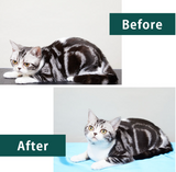 A.P.D.C. Professional Cutie Conditioner for Cats | Fluffy & Silky Finish | Hydrates, Softens & Detangles Fur