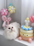 Balloon Decoration Services