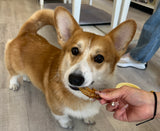 Arata Chicken Zanmai Chicken Wings! for dogs