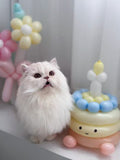Balloon Decoration Services