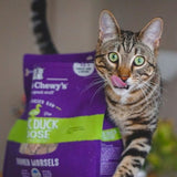 Stella & Chewy's - DUCK DUCK GOOSE FREEZE-DRIED RAW DINNER MORSELS